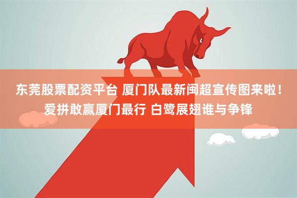 东莞股票配资平台 厦门队最新闽超宣传图来啦！爱拼敢赢厦门最行 白鹭展翅谁与争锋